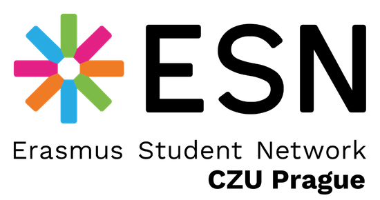 ESN Logo